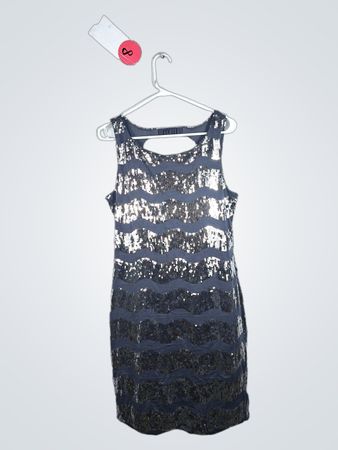 Sequined Dress