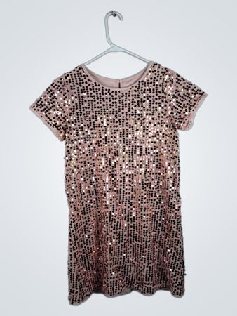 Sequined Dress
