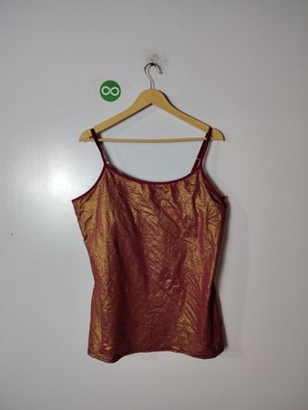 Express Metallic Bra Cami Top