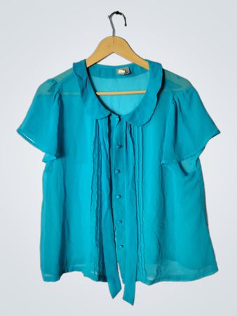 Blue Sheer Blouse