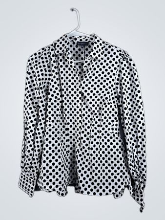 Polka Dot Blouse
