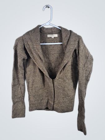 LOFT Metallic Knit Cropped Hoodie