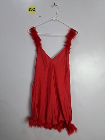 Red Feathered Dress