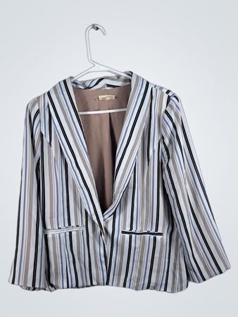 Mystree Striped Blazer