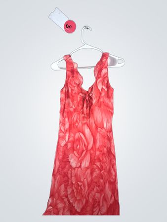 Ann Taylor Red Floral Sleeveless Dress