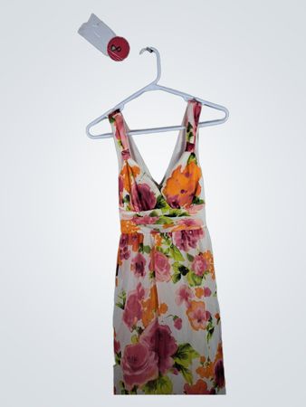 Speckless Floral Dress