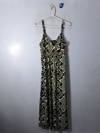 Animal Print Maxi Dress