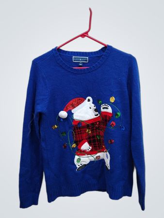 Karen Scott Blue Christmas Sweater