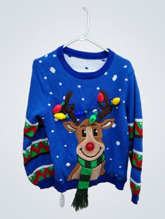 Blue Christmas Sweater with Rudolph Design