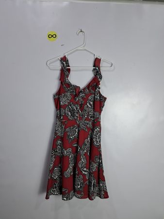 Express Red Floral Cami Dress