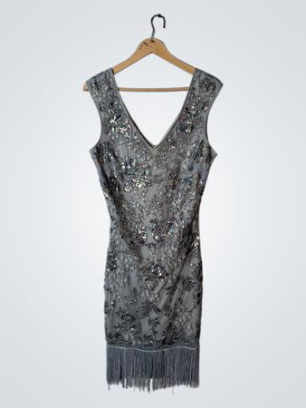 Sequined Fringe Dress