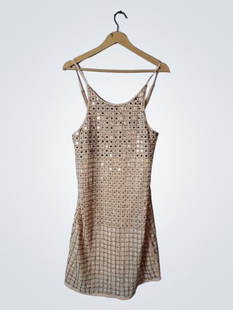 Verty Beige Sequined Dress