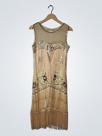 Beige Fringed Sequined Dress