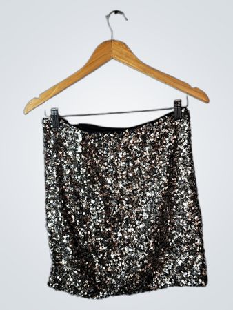 Sequin Skirt