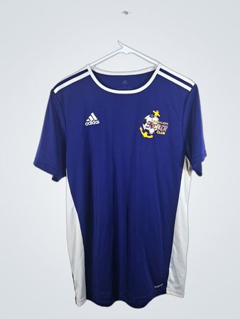 Adidas Blue Soccer Jersey