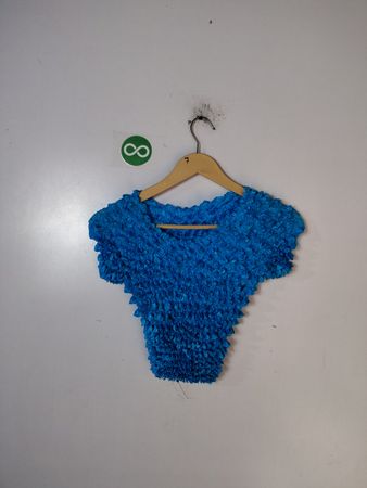 Blue Ruffled Crop Top