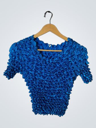 Blue Ruffled Top