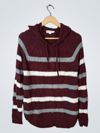 Cloudchaser Maroon Striped Cowl Neck Sweater