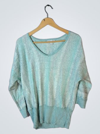 New York & Company Light Blue Sweater