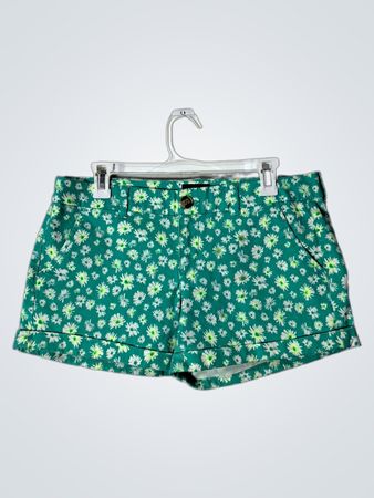 American Eagle Outfitters Floral Shorts