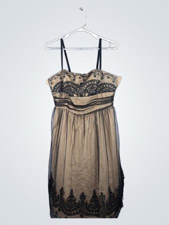 Sheer Black and Beige Dress