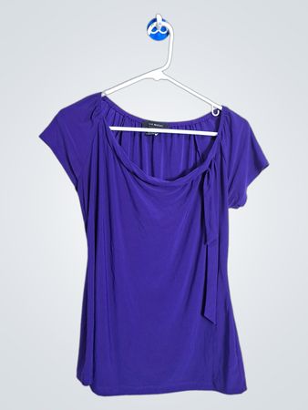 Liz Mccoy Purple Short Sleeve Top