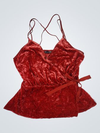 Express Velvet Cami Top