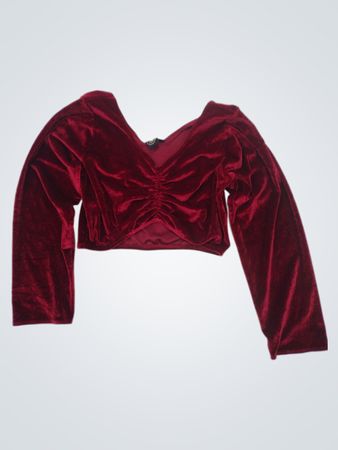 Samt gerafftes V-Ausschnitt Langarm-Crop-Top