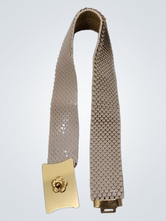 Gürtel mit goldener Schnalle und Blumenmotiv