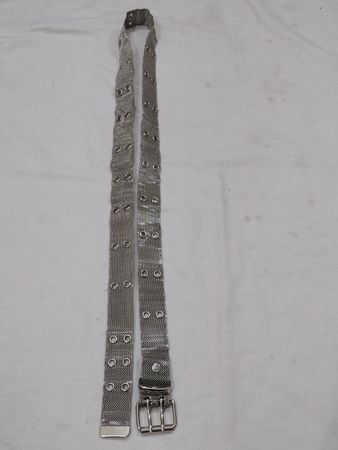 Silbernes Netzgürtel mit Schnalle