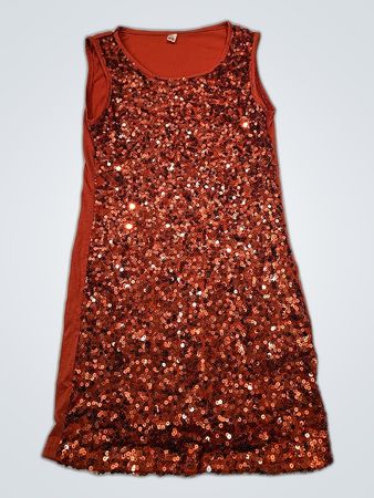 Sequin Dress