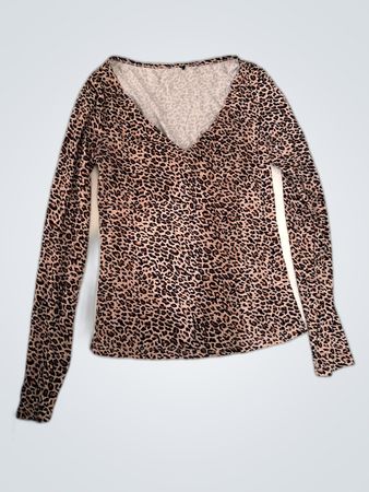 Leopard Print Long Sleeve Top