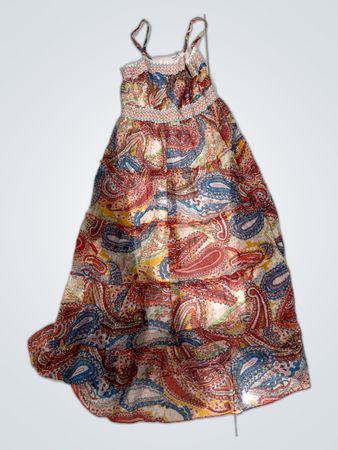 Paisley Pattern Maxi Dress