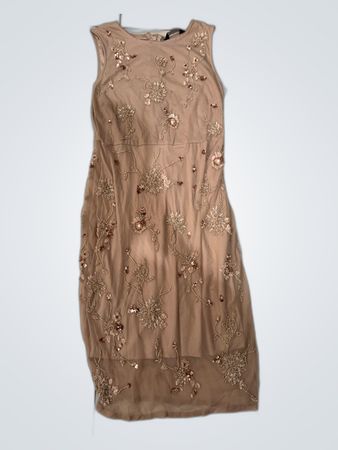 Dorothy Perkins Nude Embroidered Mini Dress