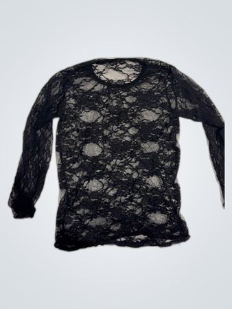 Black Lace Sheer Blouse