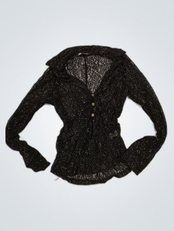 Zara Sheer Lace Blouse
