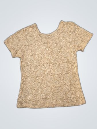 Sheer Lace Blouse