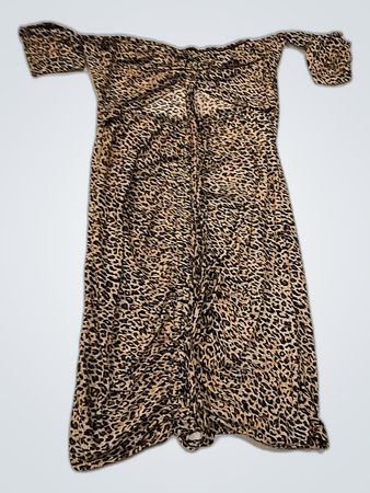 Leopard Print Strapless Mini Dress