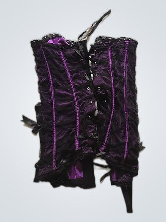 Besired Purple Lace-Up Corset