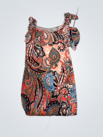 Multicolored Paisley Dress