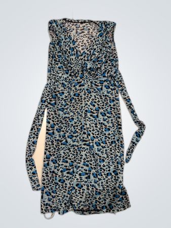 Blue Leopard Dress