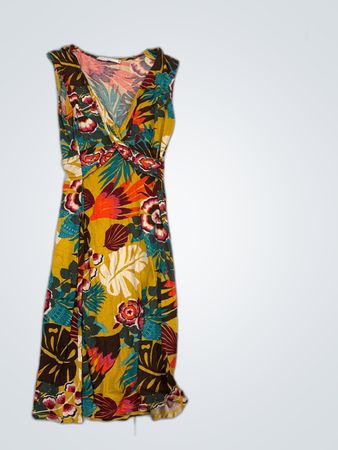 Lola Lizo Floral Dress