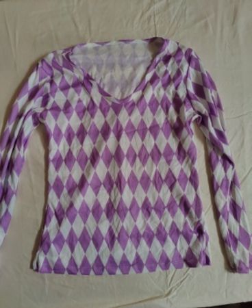 Purple Checkered Long-Sleeve V-Neck Blouse