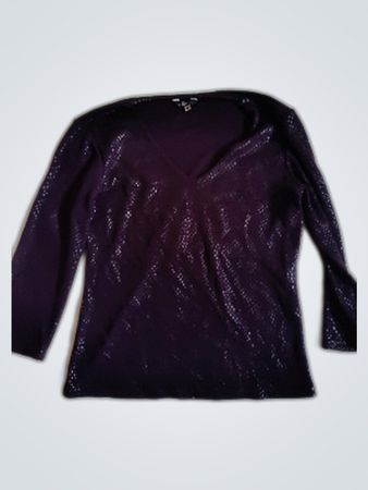 R Collection Purple Sequined Blouse