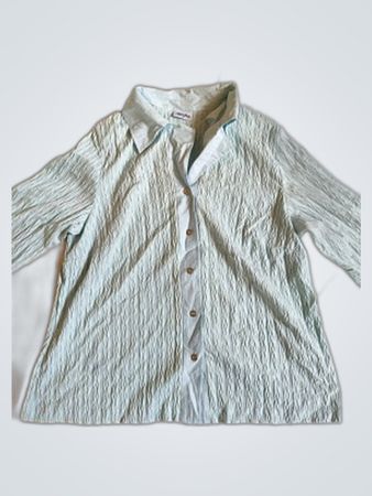 Erfo Light Blue Button-Down Shirt
