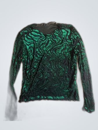 Page One Sheer Long Sleeve Blouse
