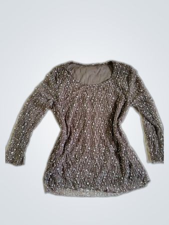 Sheer Embellished Long Sleeve Blouse