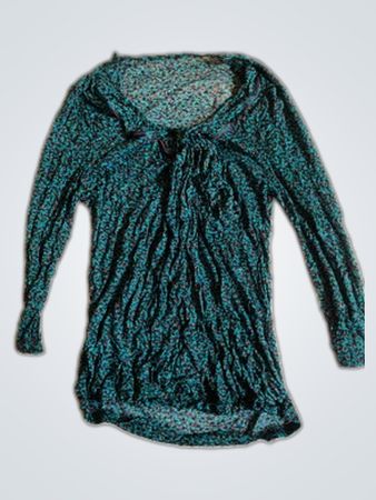 Printed Sheer Long Sleeve Blouse