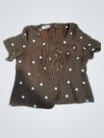 Brown Polka Dot Blouse