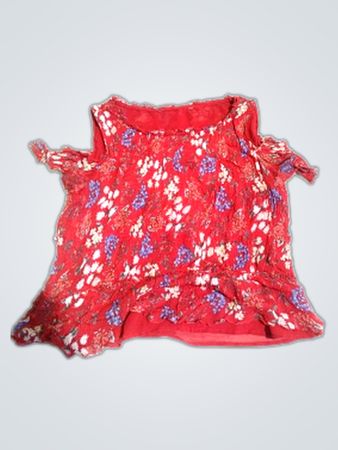 Red Floral Blouse